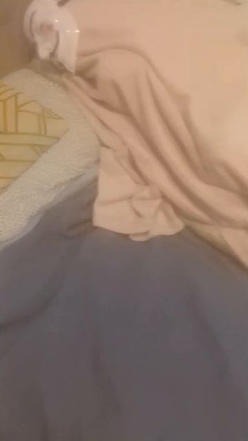 79d3a7dc1cc7600f4376602d0326f38b