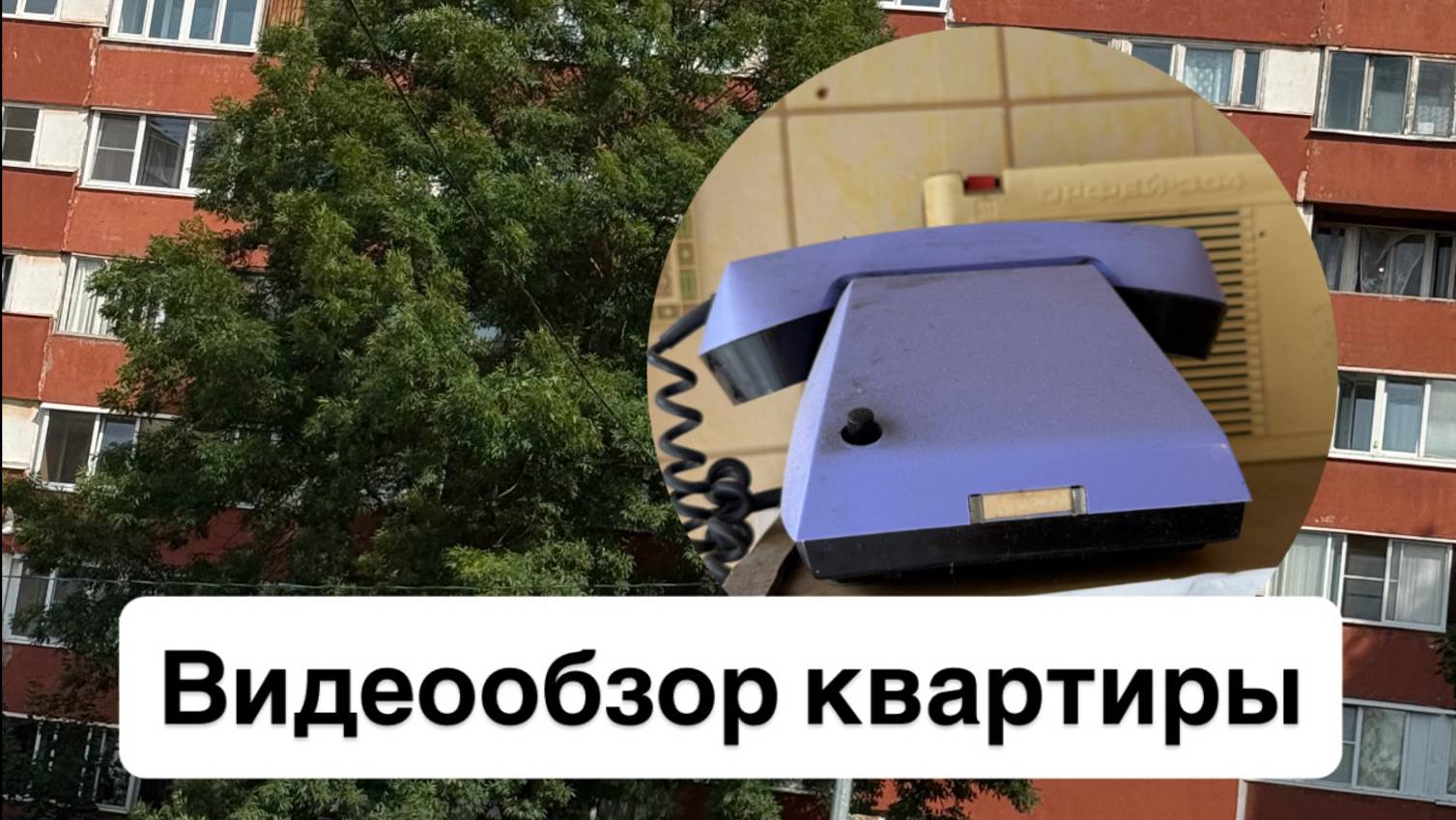 Аренда 2 комн. квартиры Санкт-Петербург, Красное Село