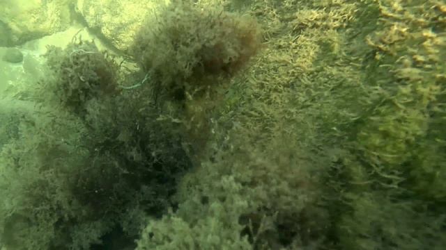 Черное море 2025