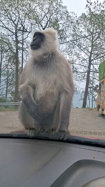 7e0270a6a931796caa3e2048a1b1ba45