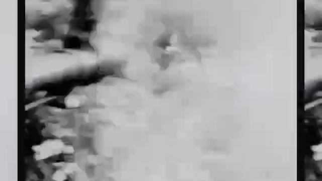 15a4e6b97623c9312dc051162c61668f