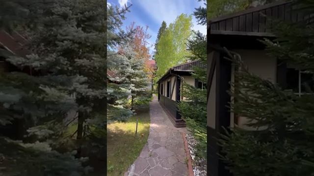 Video 2025-08-01