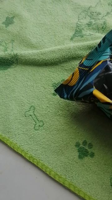 VID_20250802_122240.mp4