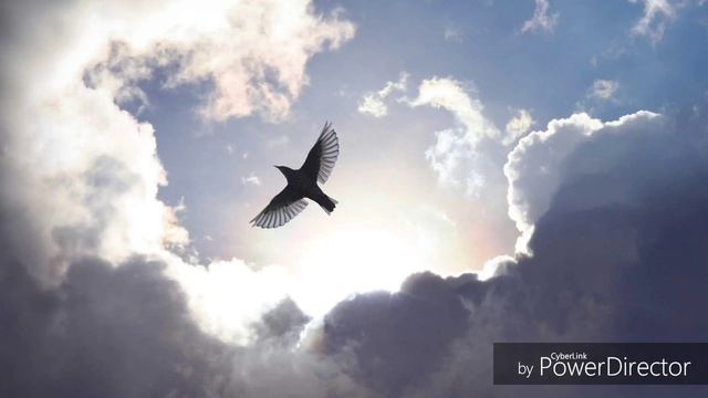 Рыцарь - Монах - Чародей