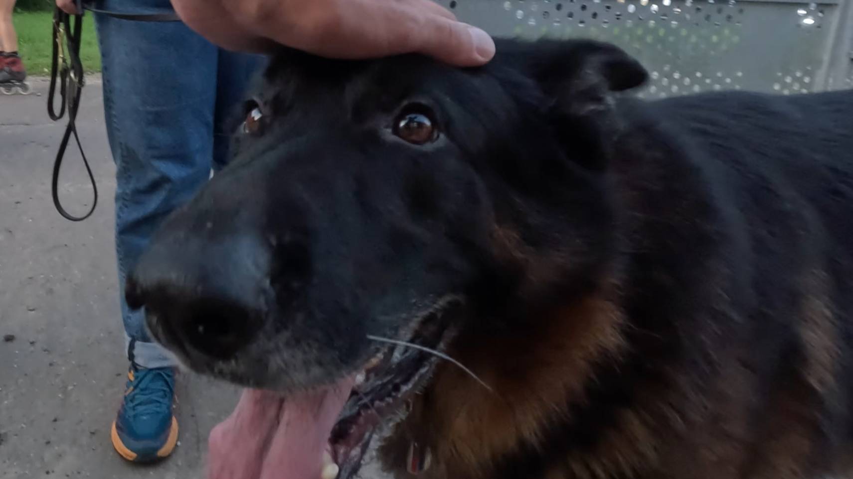 8c9ab1f98475b68711e7f7752e4ce18c