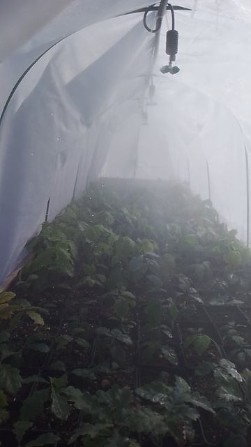 Закалочная площадка.