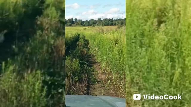 НЕТ НЕ НАДО СЛОВ