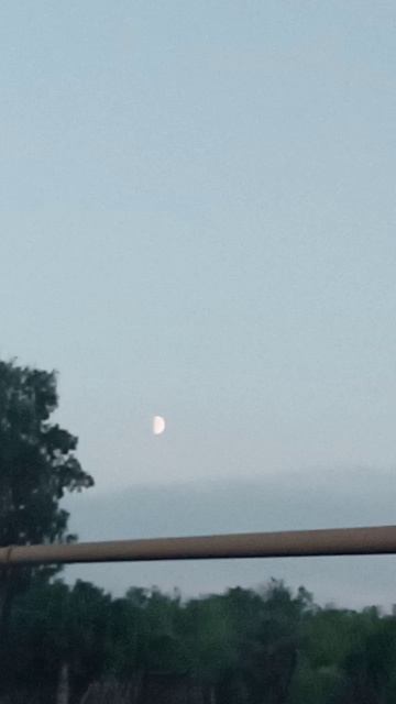 Красивые виды