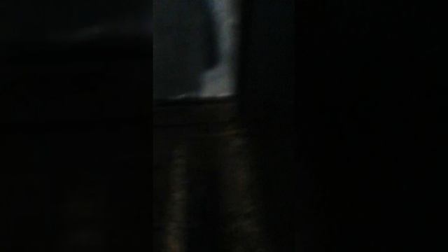 VID_20250803_204115.mp4