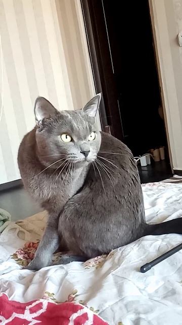 A0da24c9c92cd9a3af6d35b78b75ab35