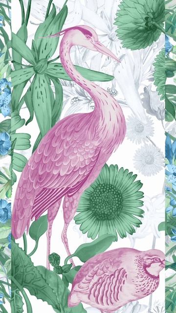 FLORENTINA Collection