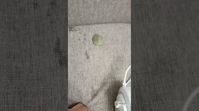 Приключение крока часть 9