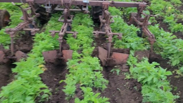 Fe265817b13d6a7e3c6860711cf0a076