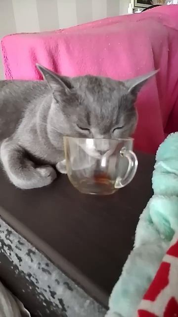 B752839c06928262edcf1314f7fefa04