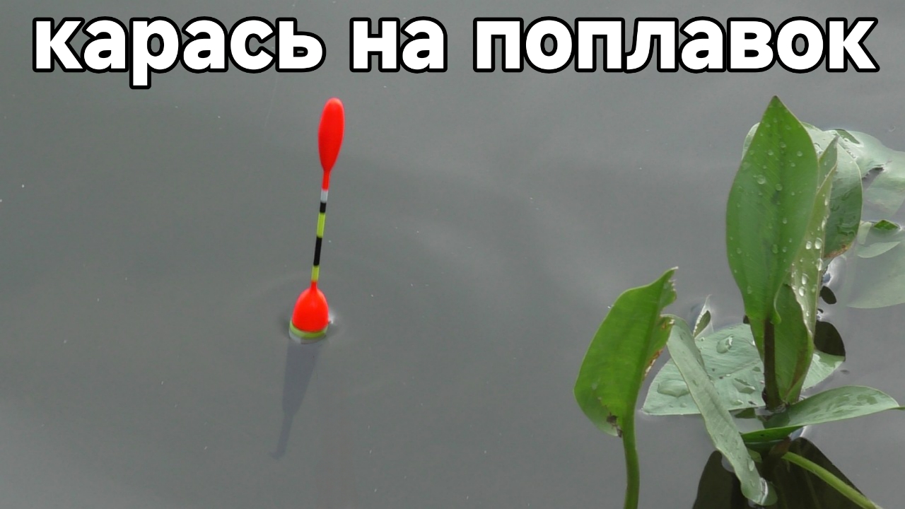 Рыбалка из детства. Ловля карася на поплавочную удочку 2025