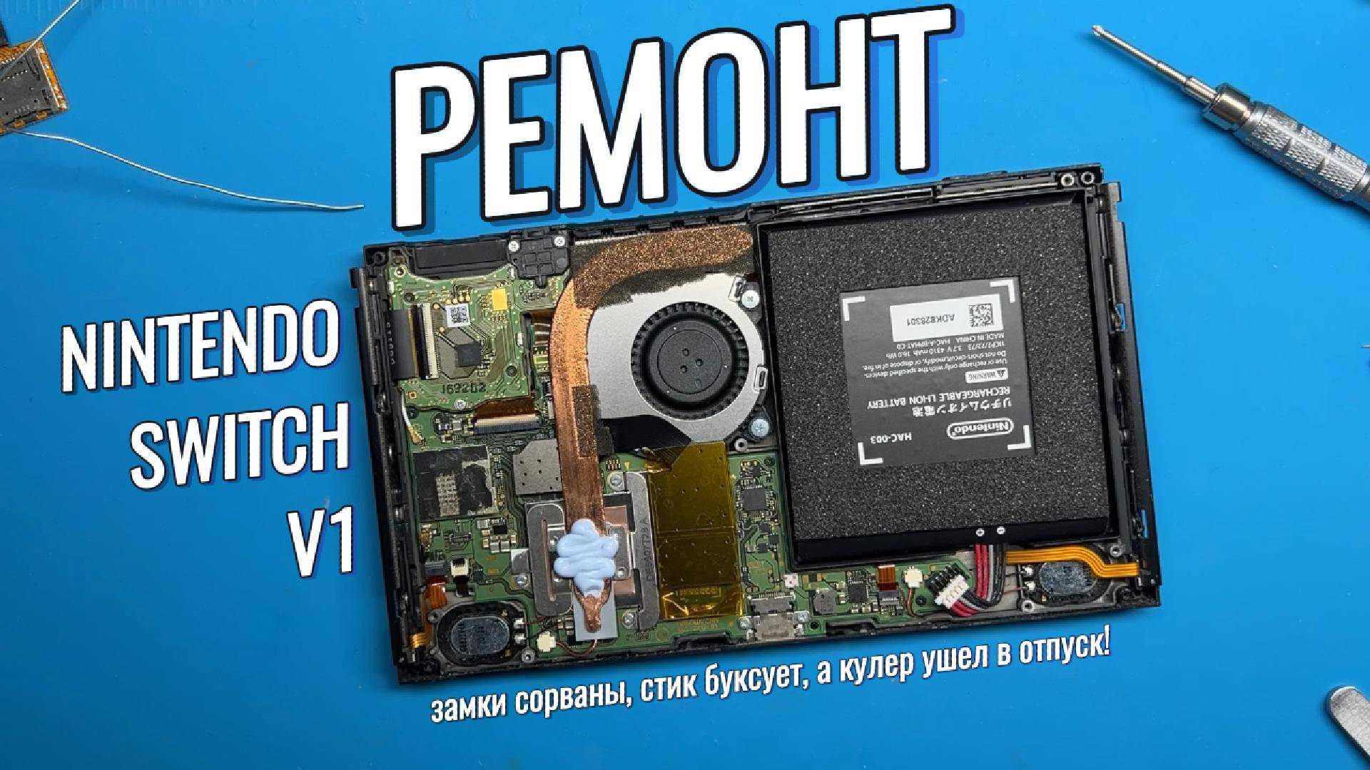 Ремонт Nintendo Switch V1