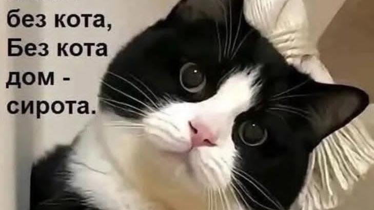 70ffda94b9e851427ac392f62fa6fb93