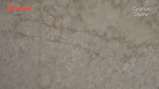 9aeb8a2401eb98b9ea47571380b57c63