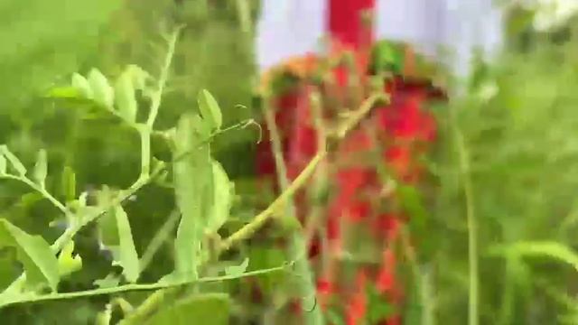 🚀 Атмосферный ролик 