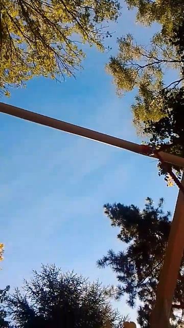 Да-да я та лягушочка милашка на следующий день я сниму почему я ушла с ютуба