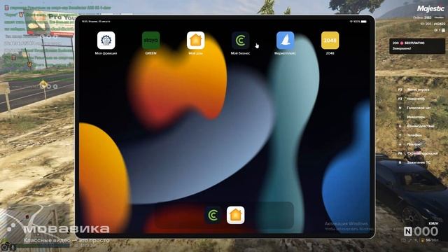 мой ид 203 сид 42422, ид нарушителя  338 сид 123800 время 16:51, дата 05.08.25