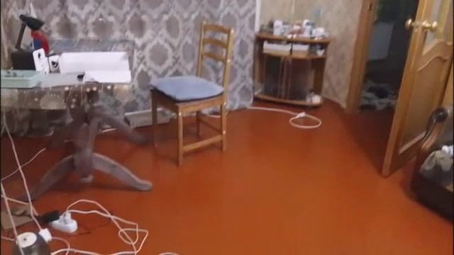 Россия Тамбовская область Мичуринск кв. в многоквартирном доме: ул. Лаврова д95 квартира7 02.08.2025