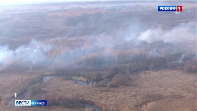 Введен особый противопожарный режим
