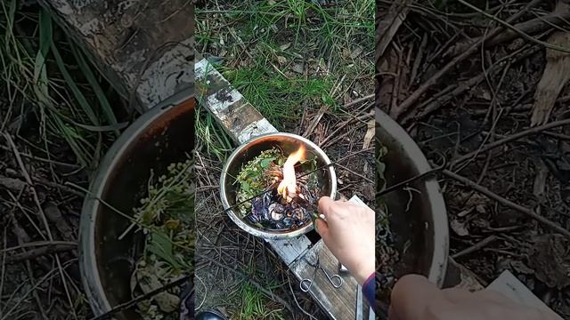 ЧИСТКА ОТ КОЖНЫХ ЗАБОЛЕВАНИЙ