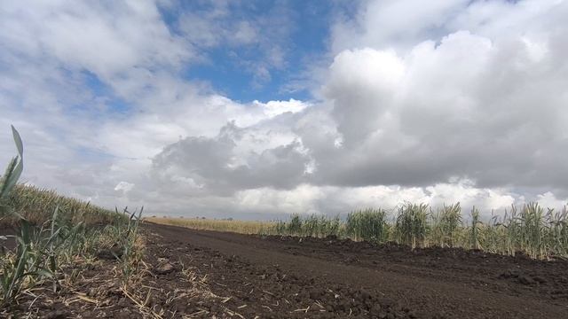 Edd78d79e88764d107ef1744bf240810