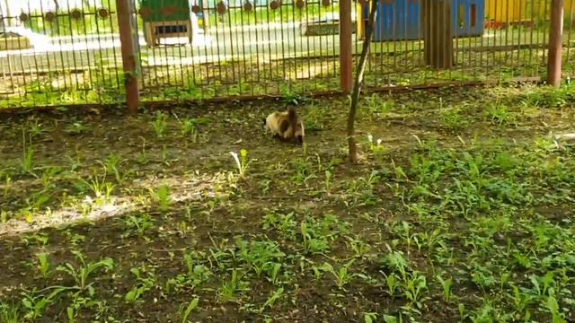 529913163c7923569d2f112434d728b7