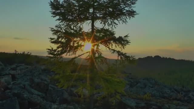 Экспедиция 