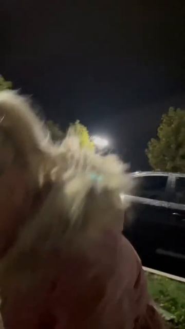 Улитка на дороге вечернего Новороссийска