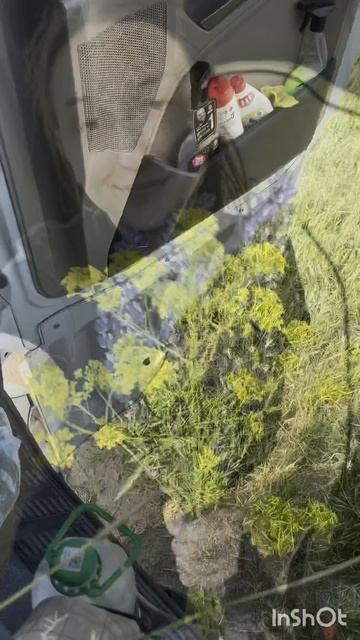 Говорит Майданникова