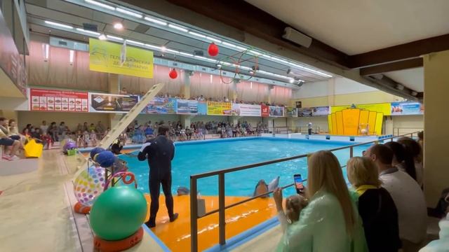 Дельфинарий