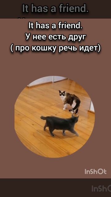 Fast English And Hacks By Galina Popova