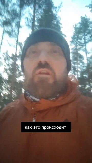 Продажи Всем