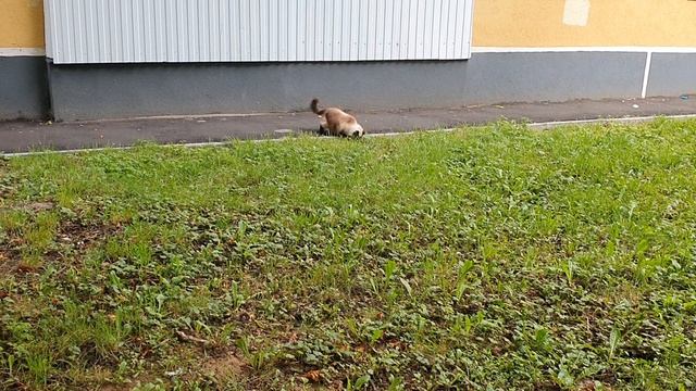 6a10302eaaa9e68993be85e9951b92c9