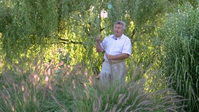 Шоу УДАЧНИКИ 45