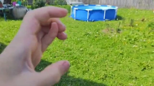 Penguin №20 Robot Robot