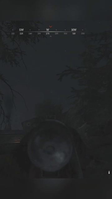 Шестое чувство! #huntshowdown #funny #игры#юмор #клип #games #memes