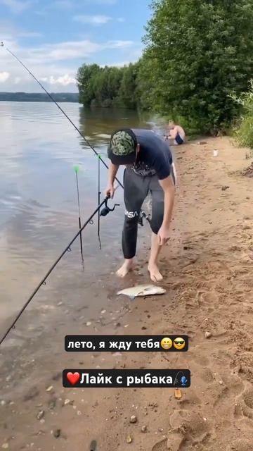 До лета совсем немного! #фидернаярыбалка #рыбалка2024 #рыбалка #карп #лещнафидер #фидер