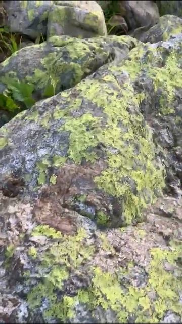 D5815f14c3394c8e91d7e053a704cc49