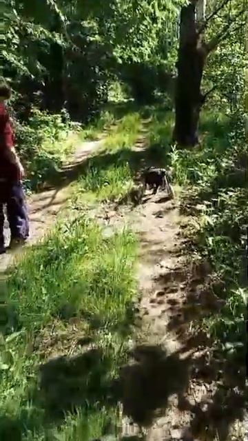 По тропинке!