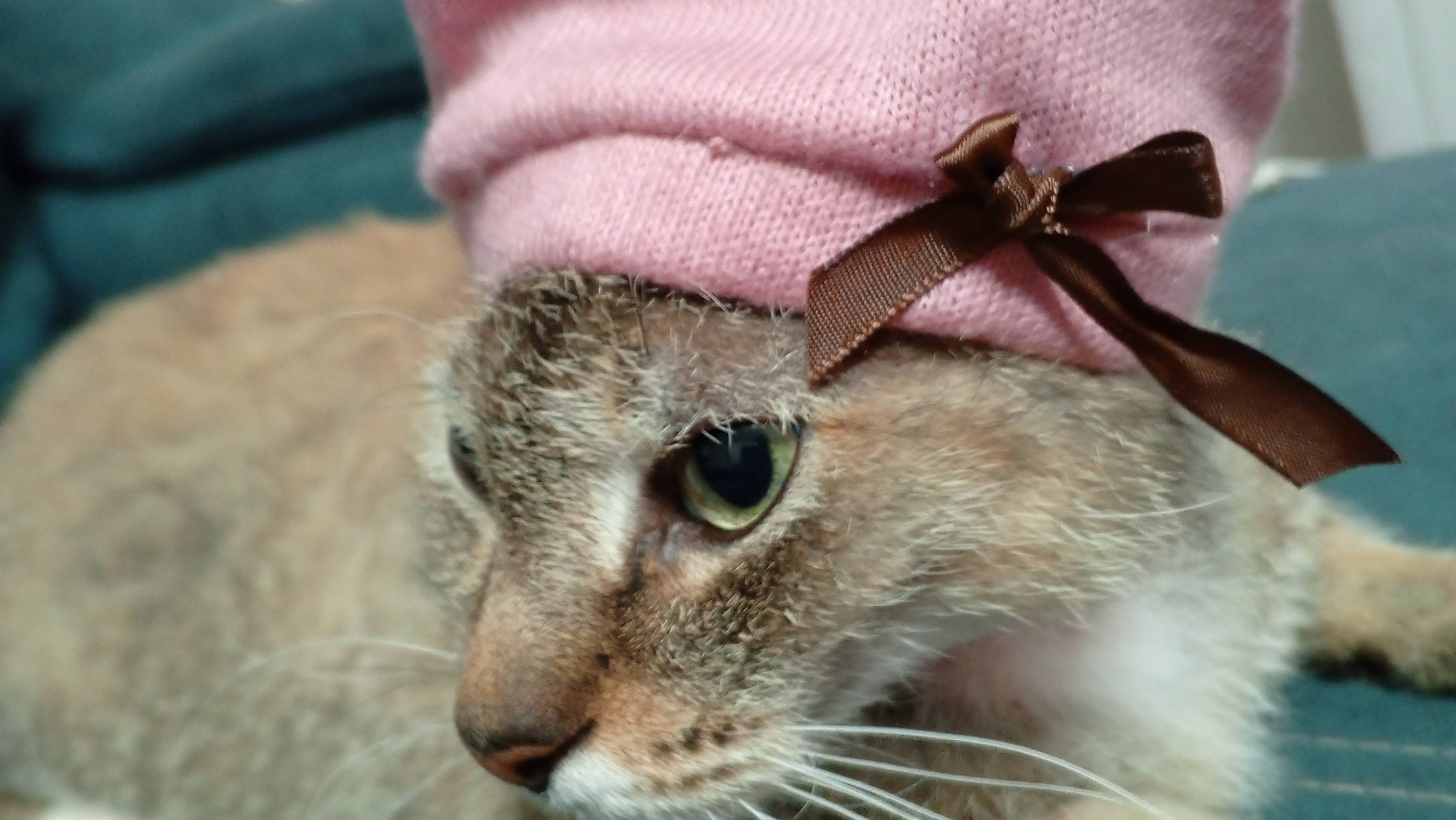 Рутуб Администрация просмотрите видео