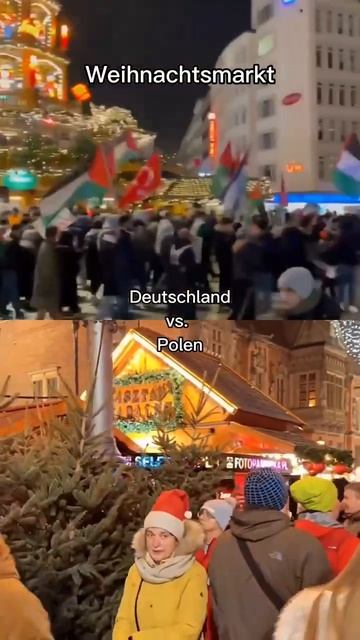 Европа превращается в халифат, и Германия — яркий пример этой капитуляции перед  исламистами.