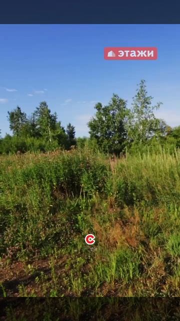 Видовой участок