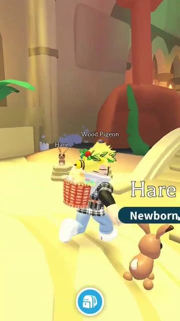 Купил Зайца!  #shorts