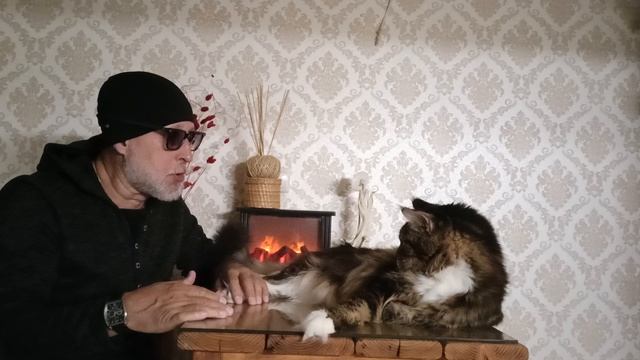 Мейн-Кун Лорди 🦁👑 Особенности Породы 🔥