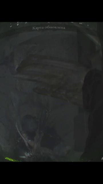 Ля ты крыса! #hunthowdown #gaming #funny #юмор #memes #клип