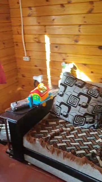 WhatsApp Video 2025-08-08 At 13.12.49